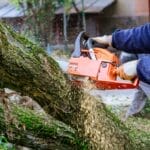 Es gibt verschiedene Gründe, warum es notwendig sein kann, einen Baum in Ihrem Garten zu fällen. Und mit ein paar praktischen Tricks gelingt die sichere und effektive Baumfällung im privaten Garten.
