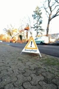 Unsere Baumpflege-Profis!