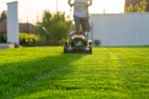 Rasen mähen: Tipps für den perfekten Rasen